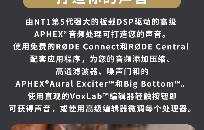 Rode NT1 5th Generation 带USB口电容话筒直播K歌配音录音麦克风