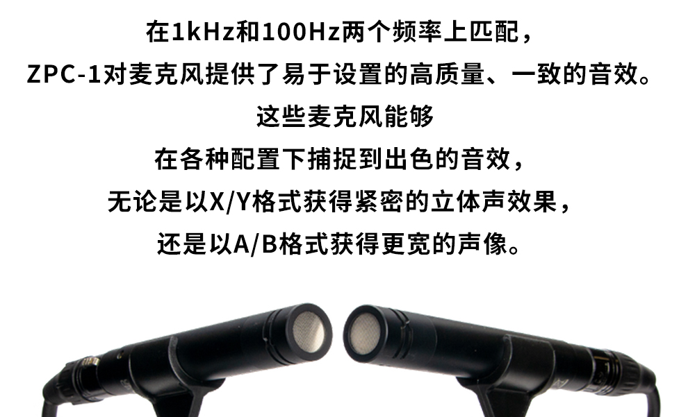 ZOOM ZPC-1 小振膜乐器录音话筒麦克风立体声套装